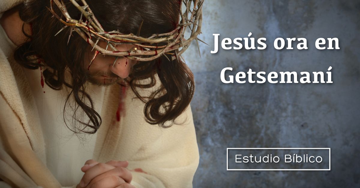 El significado profundo de la oración en el huerto de Getsemaní: Un encuentro íntimo con Dios