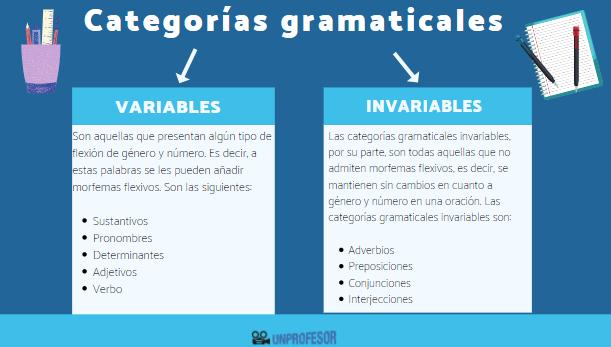 Guía práctica: Cómo identificar las categorías gramaticales en una oración