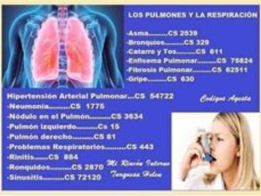 La oración al Santo de los Pulmones: Una guía espiritual para sanar y proteger nuestra salud respiratoria