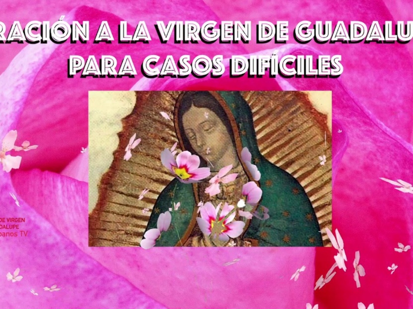 La poderosa oración a la Virgen de Guadalupe para superar casos difíciles: Un camino de fe y esperanza