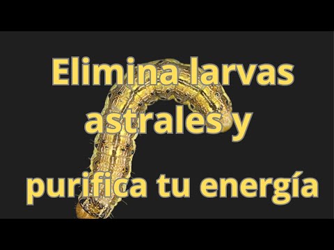 Oración poderosa para eliminar las larvas astrales: libérate de energías negativas
