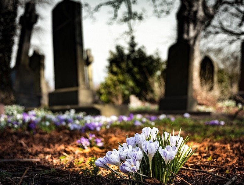 Oraciones reconfortantes para rezar en el cementerio: un acto de fe y recuerdo