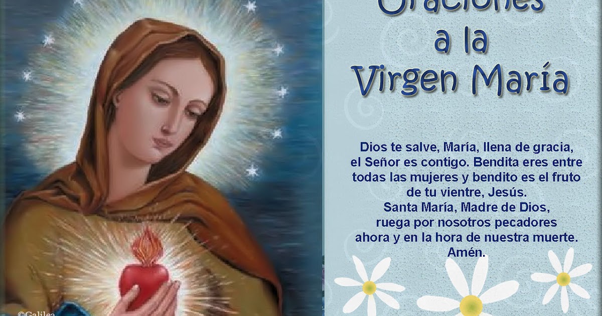 Sálvame, Virgen María: La poderosa oración de la Salve Católica para obtener protección y bendiciones divinas